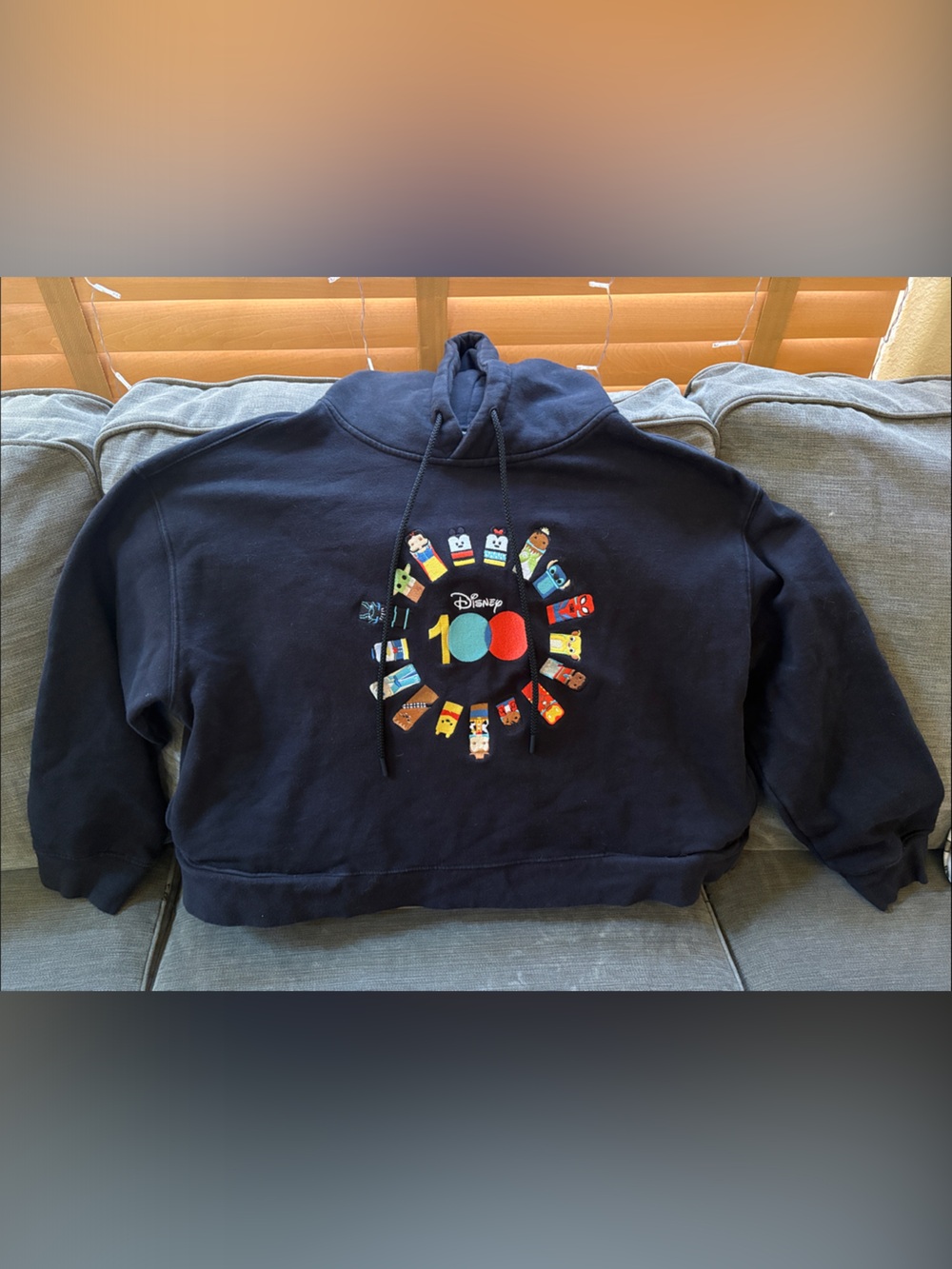 Disney 100 XL cropped Hoodie with Colorful Characters and pockets